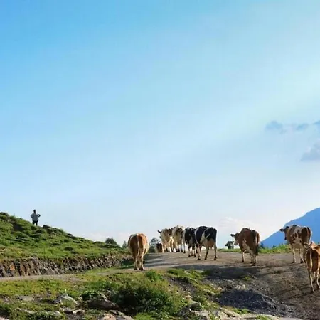 Zimmer In Uriger Rustikalen Alphuette Auf Bewirtschafteter Alp Hoch In Den Bergen, Inkl Vp Leukerbad