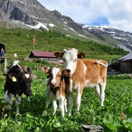 Zimmer In Uriger Rustikalen Alphuette Auf Bewirtschafteter Alp Hoch In Den Bergen, Inkl Vp *