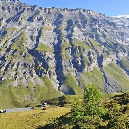 Zimmer In Uriger Rustikalen Alphuette Auf Bewirtschafteter Alp Hoch In Den Bergen, Inkl Vp Appartement *